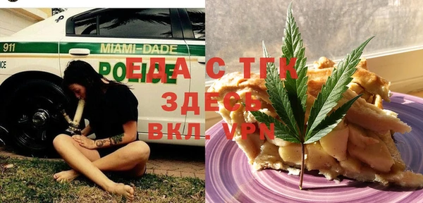 стаф Алзамай