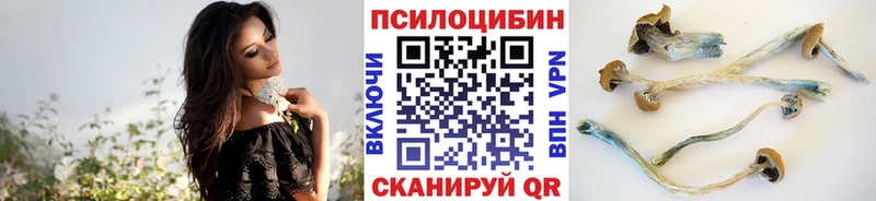 Псилоцибиновые грибы мицелий  Ардон 